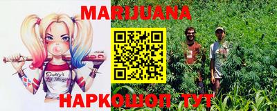 амф Новозыбков