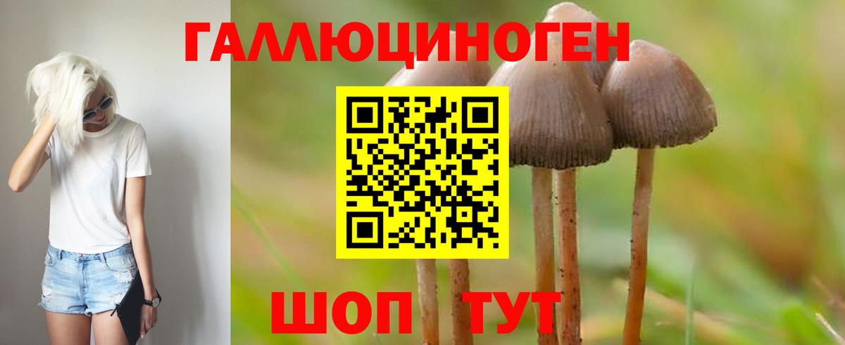Псилоцибиновые грибы Cubensis Протвино